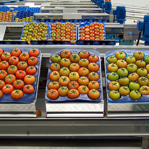 Linhas de processamento para hortaliças e verduras